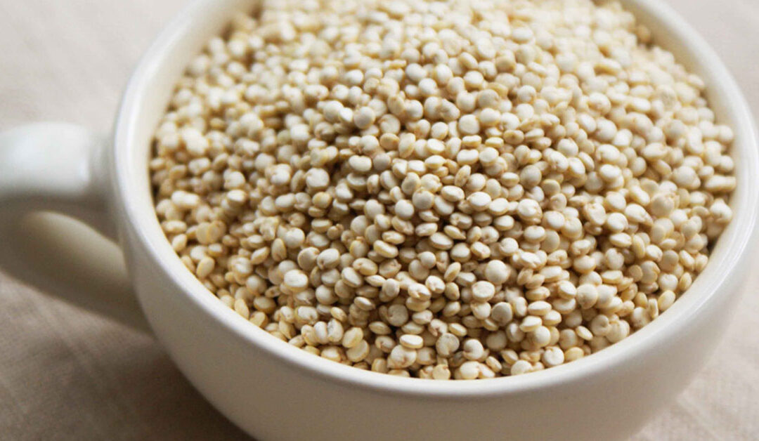 Quinoa