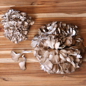 Funghi Maitake