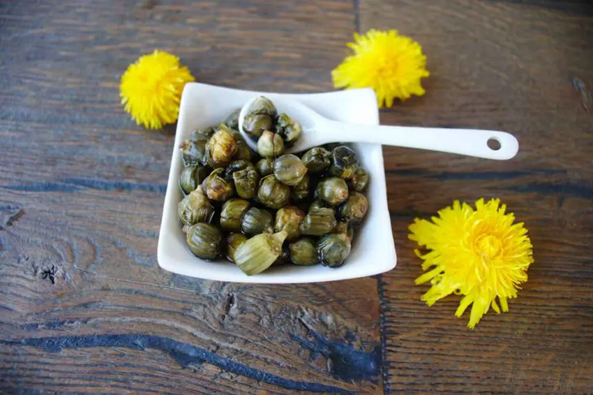 Boccioli di tarassaco sott'olio